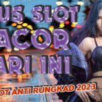 Slot Online untuk Pemula: Pilihan Terbaik dan Termudah